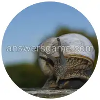 Word Rings Level 19 Puzzle 9