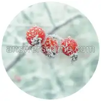 Word Rings Level 6 Puzzle 7