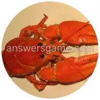 Word Rings Level 25 Puzzle 10