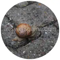 Wortringe Ebene 9 Rätsel 6