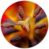 Word Rings Level 22 Puzzle 2