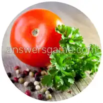 Wortringe Ebene 1 Rätsel 7