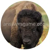 Word Rings Level 29 Puzzle 5