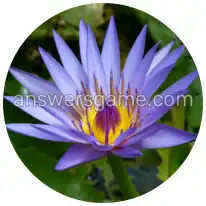 Word Rings Level 32 Puzzle 3