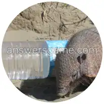 Word Rings Level 27 Puzzle 5