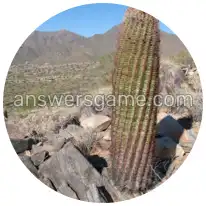 Word Rings Level 30 Puzzle 6