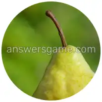 Word Rings Level 18 Puzzle 3