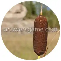 Word Rings Level 23 Puzzle 9