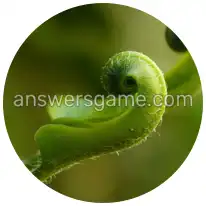 Word Rings Level 35 Puzzle 3