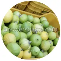 Word Rings Level 29 Puzzle 1