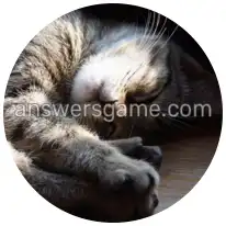 Word Rings Level 23 Puzzle 8