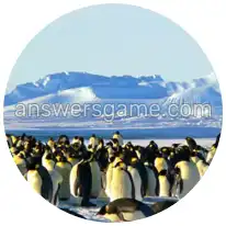 Word Rings Level 21 Puzzle 2