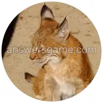 Word Rings Level 29 Puzzle 9