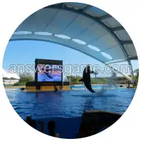 Word Rings Level 13 Puzzle 4