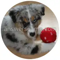 Word Rings Level 14 Puzzle 2