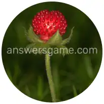 Word Rings Level 26 Puzzle 7