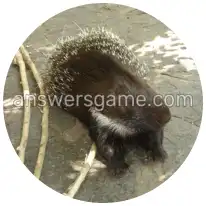 Word Rings Level 26 Puzzle 8