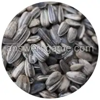 Wortringe Ebene 9 Rätsel 5