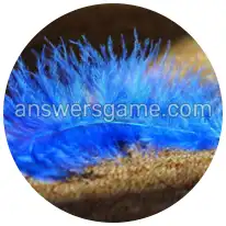 Wortringe Ebene 2 Rätsel 2