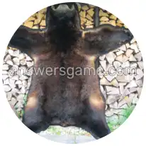 Word Rings Level 28 Puzzle 5