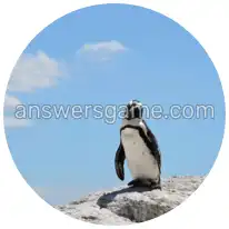 Word Rings Level 7 Puzzle 7