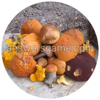 Word Rings Level 26 Puzzle 6