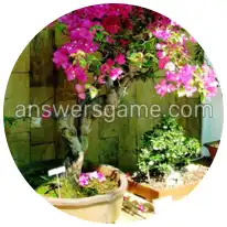 Word Rings Level 29 Puzzle 2