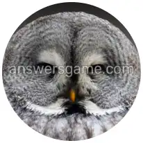 Word Rings Level 35 Puzzle 6