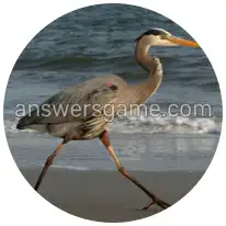 Word Rings Level 30 Puzzle 7