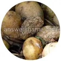 Word Rings Level 29 Puzzle 6