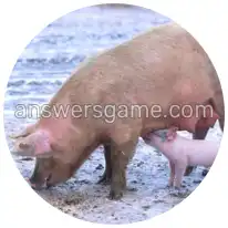 Word Rings Level 30 Puzzle 2