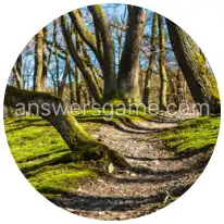 Wortringe Ebene 4 Rätsel 7