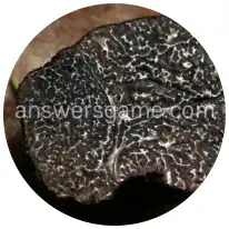 Word Rings Level 26 Puzzle 5