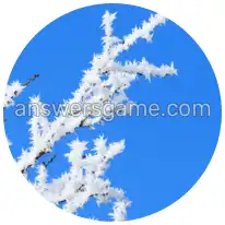 Word Rings Level 35 Puzzle 2