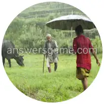 Word Rings Level 22 Puzzle 3