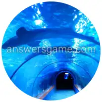 Word Rings Level 12 Puzzle 9