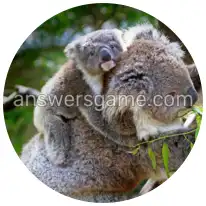 Word Rings Level 26 Puzzle 4