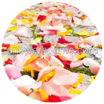 Wortringe Ebene 4 Rätsel 8