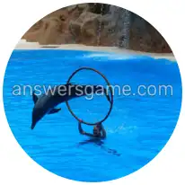 Word Rings Level 13 Puzzle 1