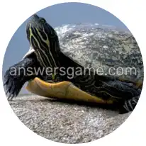 Word Rings Level 7 Puzzle 9