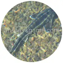 Word Rings Level 27 Puzzle 6