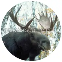 Word Rings Level 28 Puzzle 10