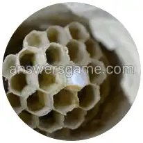 Word Rings Level 18 Puzzle 10