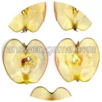 Word Rings Level 8 Puzzle 3