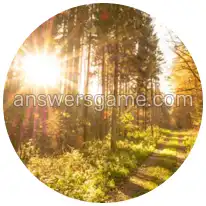 Wortringe Ebene 20 Rätsel 1