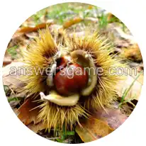 Word Rings Level 27 Puzzle 1