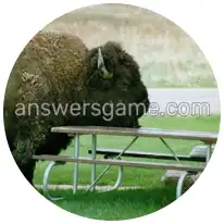 Word Rings Level 24 Puzzle 5