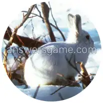 Word Rings Level 30 Puzzle 1