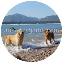 Word Rings Level 23 Puzzle 1