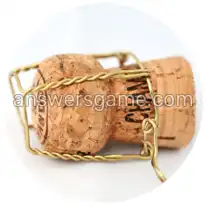 Word Rings Level 31 Puzzle 1